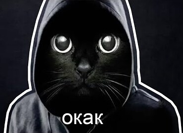 Кошак «Окак», мем-комммент «просто так»