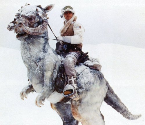 Файл:Tauntaun.jpg