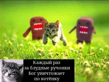Спаси котёнка!