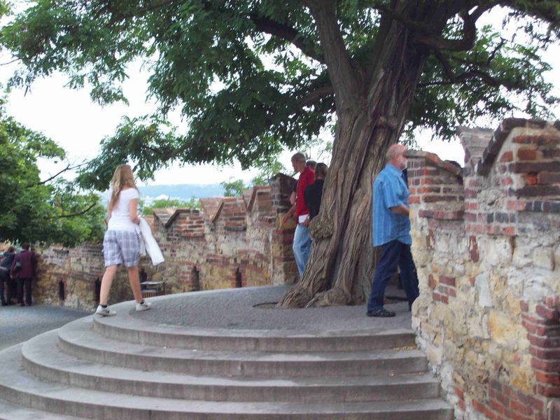 Файл:Praha Gondor.jpg