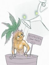 24.6.2021: Красная девица из земляной темницы. А под курением ГМО и вовсе мужик.