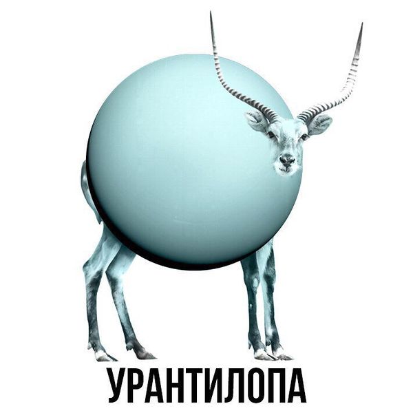 Файл:Урантилопа.jpg