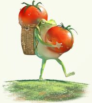 19.6.2021: Начало помидорного сезона на болотах.