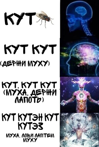 Файл:Кут.jpg