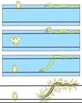 2.11.2020: Глупая змея, не знавшая электротехнику.