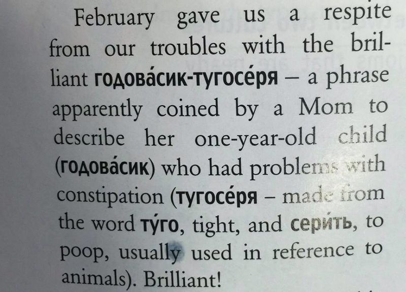 Файл:Godovasik in English.jpg