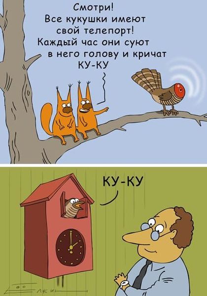 Файл:2.jpg