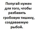 Миниатюра для версии от 19:44, 10 марта 2019
