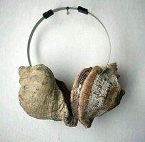 2.3.2023: Вечный гаджет со звуком моря.