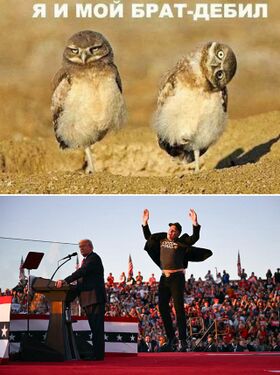 Предвыборные речи в 2024 году. Илон Маск прыгает на задних лапках, чувствуя, что Трамп поможет ему получить из казны миллионы.