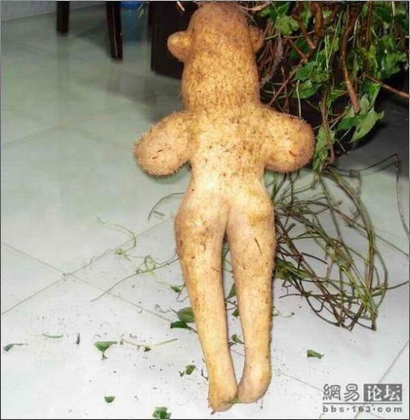 Файл:Овощ нечто.jpg