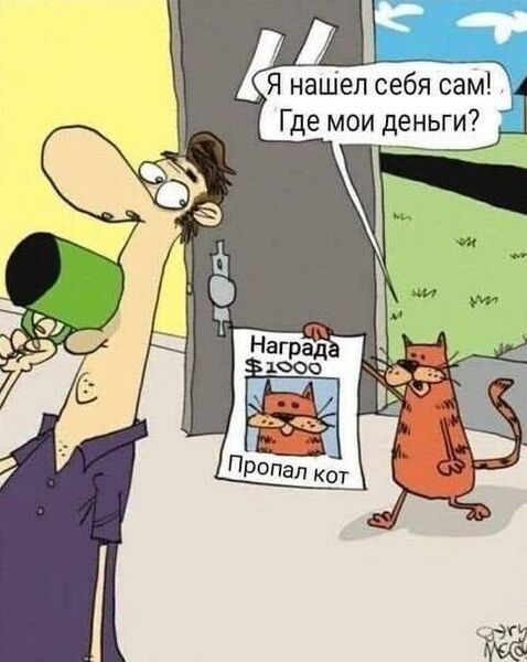 Файл:Котопоиск.jpg
