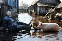 Весной сёла превращаются в романтическую Венецию, где передвигаться можно только на гондолах или тракторе «Беларусь»