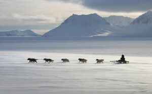 Местный поезд, однако