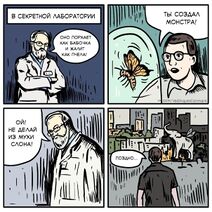 23.7.2022: О новых породах мух.