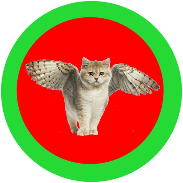 Файл:Ne gerb Tatarstana.jpg