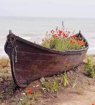 25.7.2022: Хорошо замаскированная лодка.