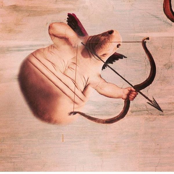 Файл:Zhdun amur.jpg