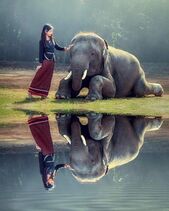 10.11.2019: Слоняльный выходной.