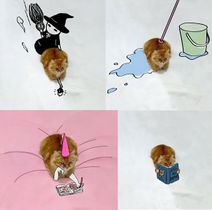 11.10.2020: Мой хозяин — фотошопер.