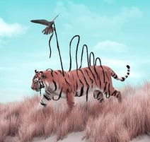 3.7.2020: Переполосовка тигра.