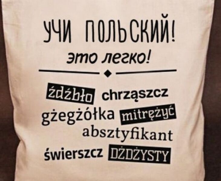 Файл:Учи-польский.jpg