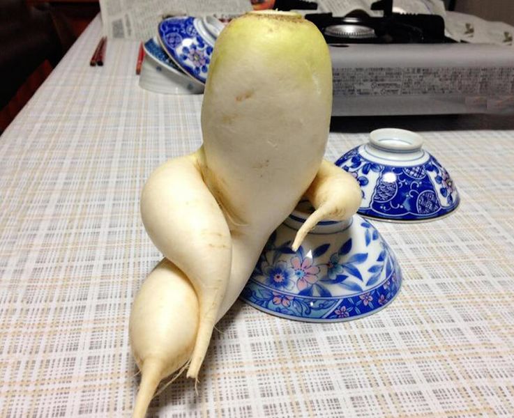 Файл:Redka i chay.jpg