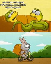 2.4.2023: Доставки еды в мире животных.