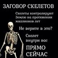 Занимательная конспирология (Zagovor skeletov.jpg)