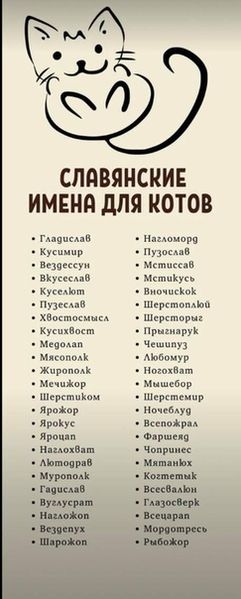 Файл:Имена-для-котов.jpg