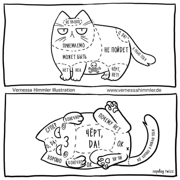 Файл:Kak gladit koshku.jpg