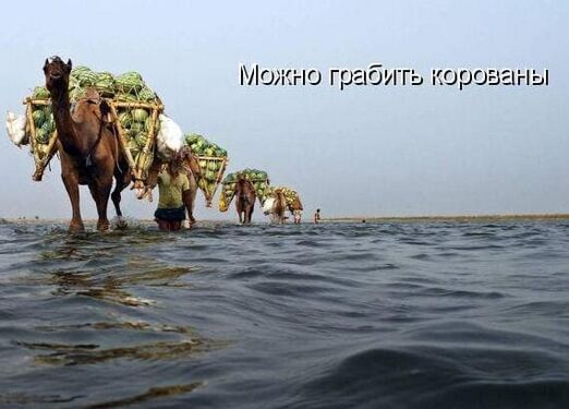 Запилите мне игру где можно грабить корованы