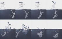 21.5.2022: Почему Минздрав не рекомендует бегать по поверхности воды.