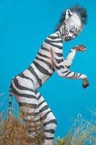 14.6.2020: Жизнь полосатых важна!