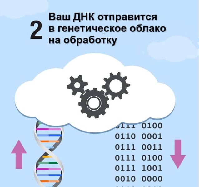 Файл:Step-2-dna.jpg