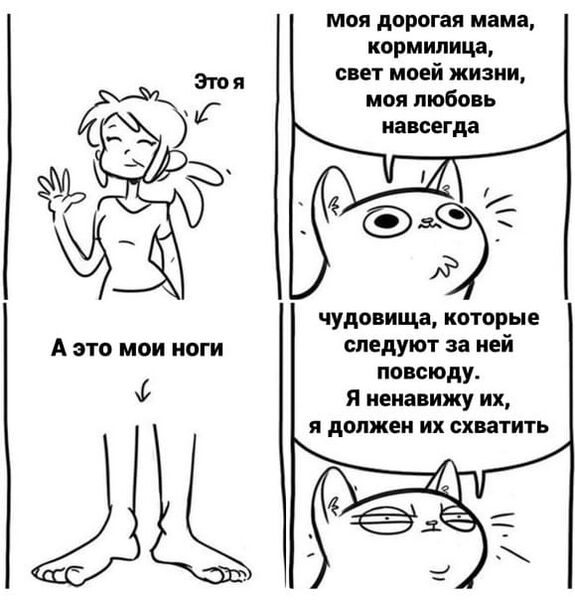 Файл:Котологика.jpg