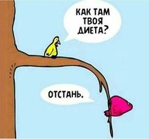 13.8.2020: Птички-диетички.