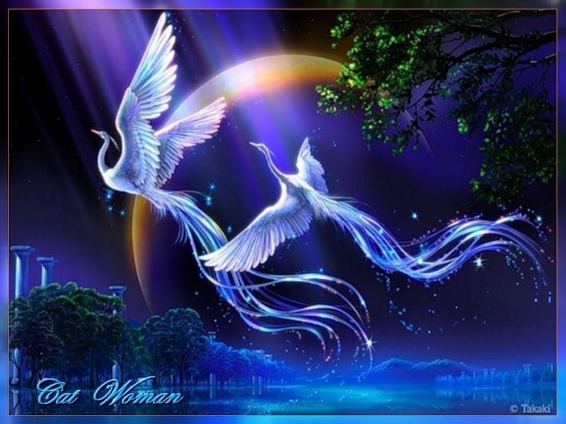 Файл:Млекопитающие птицы.jpg