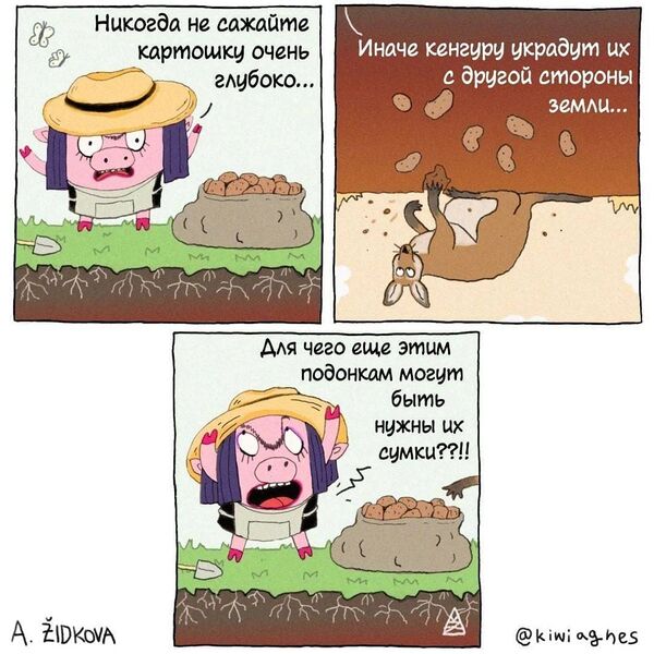 Файл:Кенгурофель.jpg