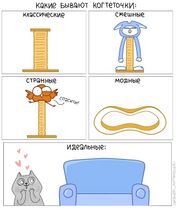 8.1.2024: Когтеточки с точки зрения кота.