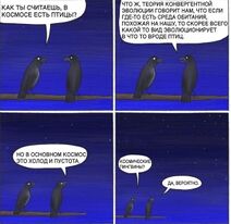 7.12.2022: Одиноки ли птицы во вселенной?