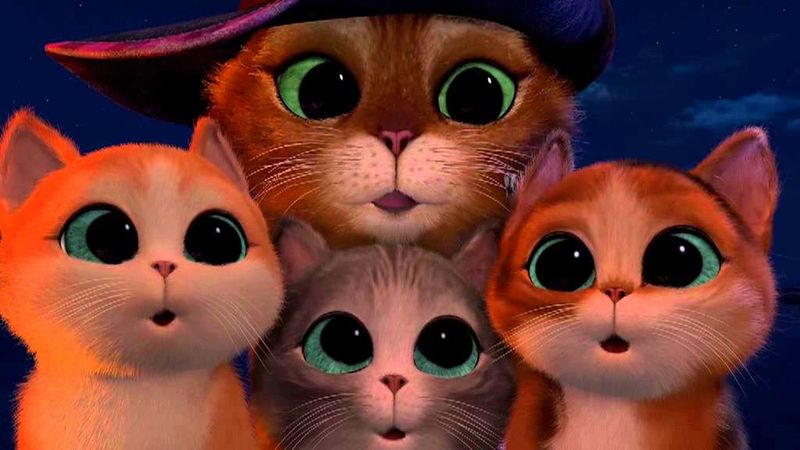 Файл:4 котика.jpg