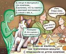 13.3.2025: Объяснение котопыринга.