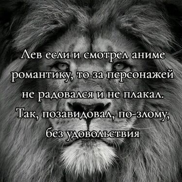 Пародия на «пацанский мем»: лев, если и делает нечто, то по-злому, без удовольствия.