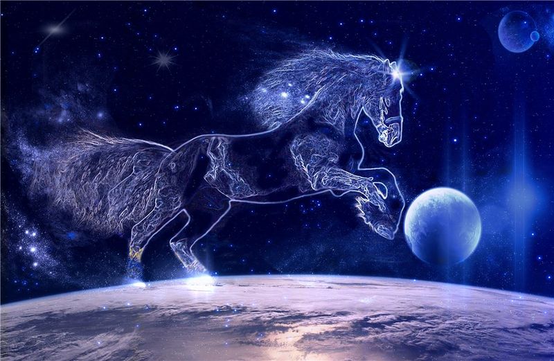 Файл:Kon v kosmose.jpg