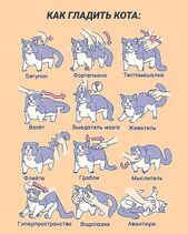 5.6.2023: Инструкция по домашнему досугу.