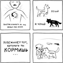 2.6.2020: Притча о волках.