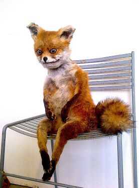 Упоротый лис