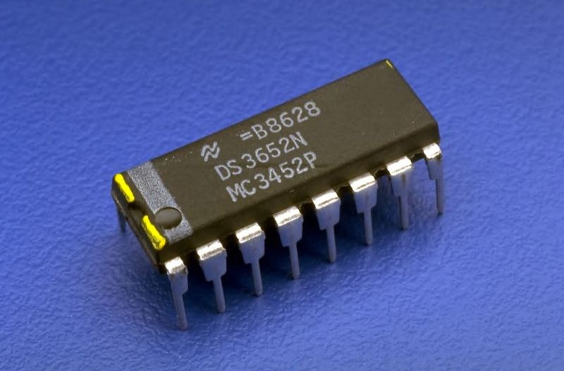 Файл:Tarakan chip.jpg