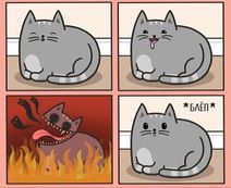 23.10.2020: Стадии кошачьего зевания.